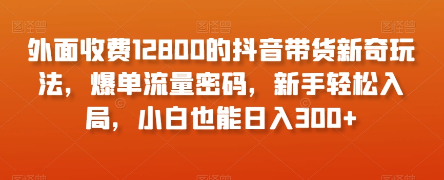 外面收费12800的抖音带货新奇玩法，爆单流量密码，新手轻松入局，小白也能日入300+【揭秘】-网赚项目众筹网