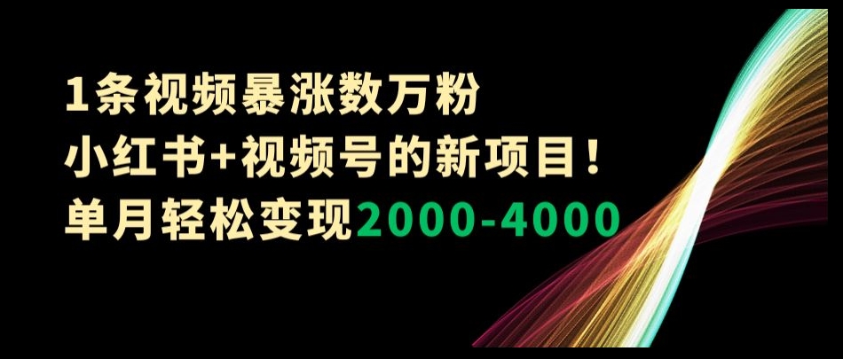 1条视频暴涨数万粉–小红书+视频号的新项目！单月轻松变现2000-4000【揭秘】-网赚项目众筹网
