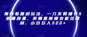 视频号原创玩法,一刀不剪提升5倍播放量,亲测直接搬也能过原创,小白日入500+【揭秘】-网赚项目众筹网