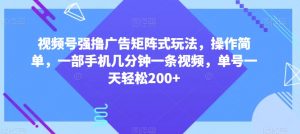 视频号强撸广告矩阵式玩法,操作简单,一部手机几分钟一条视频,单号一天轻松200+【揭秘】-网赚项目众筹网