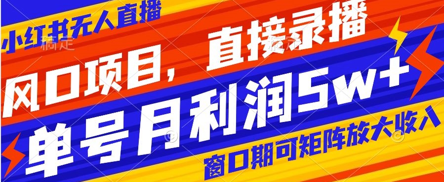 风口项目，小红书无人直播带货，直接录播，可矩阵，月入5w+【揭秘】-网赚项目众筹网