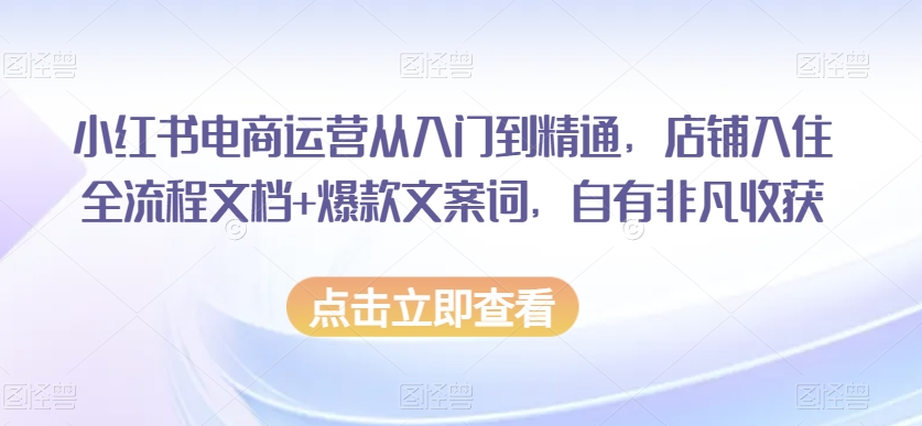 小红书电商运营从入门到精通，店铺入住全流程文档+爆款文案词，自有非凡收获-网赚项目众筹网