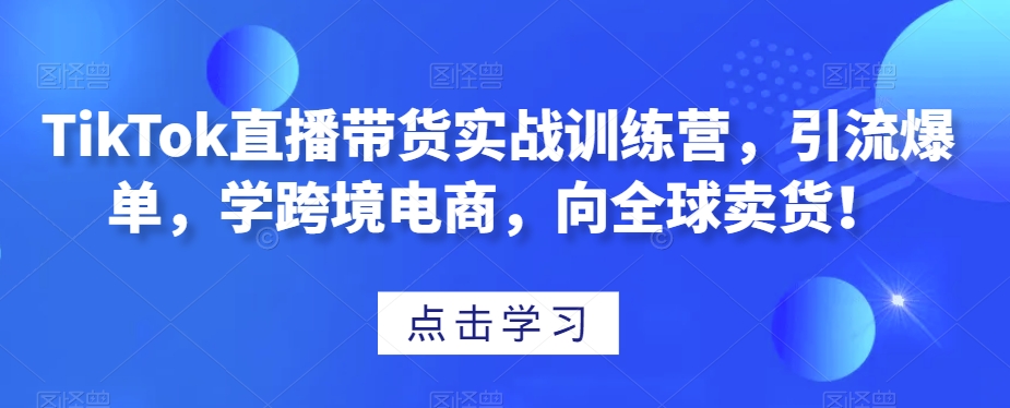TikTok直播带货实战训练营，引流爆单，学跨境电商，向全球卖货！-网赚项目众筹网