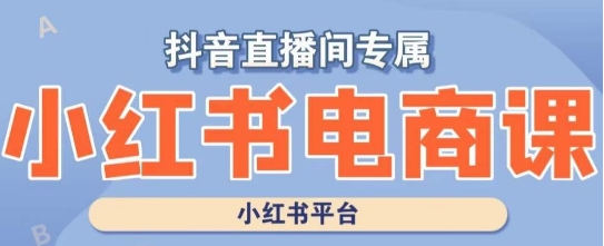 小红书电商高级运营课程，实操教学+案例分析-网赚项目众筹网