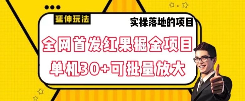全网首发红果免费短剧掘金项目，单机30+可批量放大【揭秘】-网赚项目众筹网