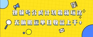 视频号最新爆火赛道玩法,只需无脑搬运,轻松过原创,单日收益上千【揭秘】-网赚项目众筹网