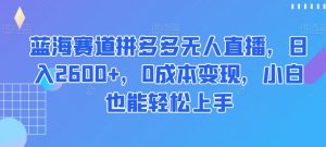 蓝海赛道拼多多无人直播,日入2600+,0成本变现,小白也能轻松上手【揭秘】-网赚项目众筹网