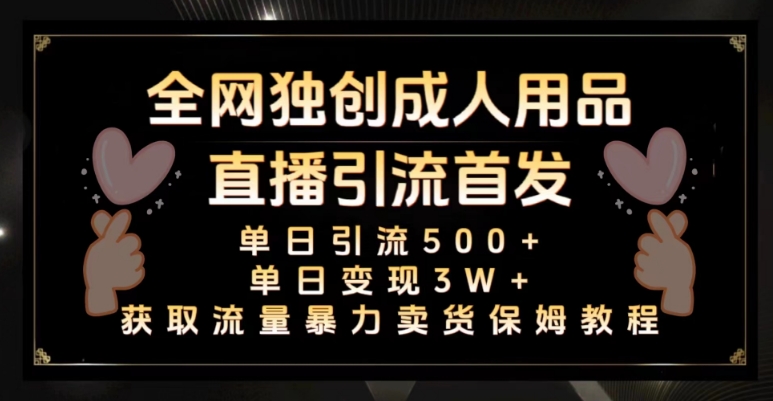 全网独创真人主播+无人直播单日引流500+，橙人用品暴力卖货单日变现3W+保姆似教学2.0【揭秘】-网赚项目众筹网