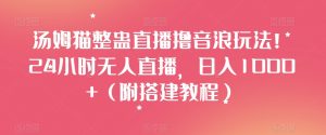 汤姆猫整蛊直播撸音浪玩法!24小时无人直播,日入1000+(附搭建教程)【揭秘】-网赚项目众筹网