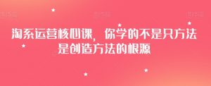淘系运营核心课,你学的不是只方法是创造方法的根源-网赚项目众筹网