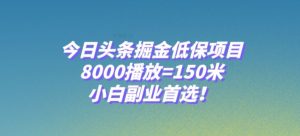今日头条掘金低保项目，8000播放=150米，小白副业首选【揭秘】-网赚项目众筹网