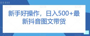 新手好操作,日入500+最新抖音图文带货【揭秘】-网赚项目众筹网