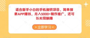 适合新手小白的手机搬砖项目,简单搜素APP赚钱,月入5000+稍作推广,还可以实现躺赚【揭秘】-网赚项目众筹网