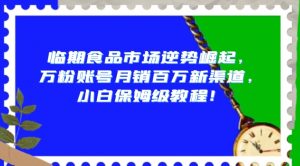 临期食品市场逆势崛起,万粉账号月销百万新渠道,小白保姆级教程【揭秘】-网赚项目众筹网
