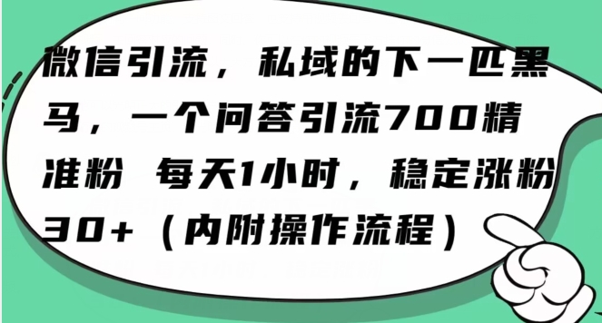 怎么搞精准创业粉？微信新赛道，每天一小时，利用Ai一个问答日引100精准粉-网赚项目众筹网