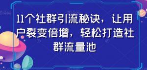11个社群引流秘诀，让用户裂变倍增，轻松打造社群流量池-网赚项目众筹网