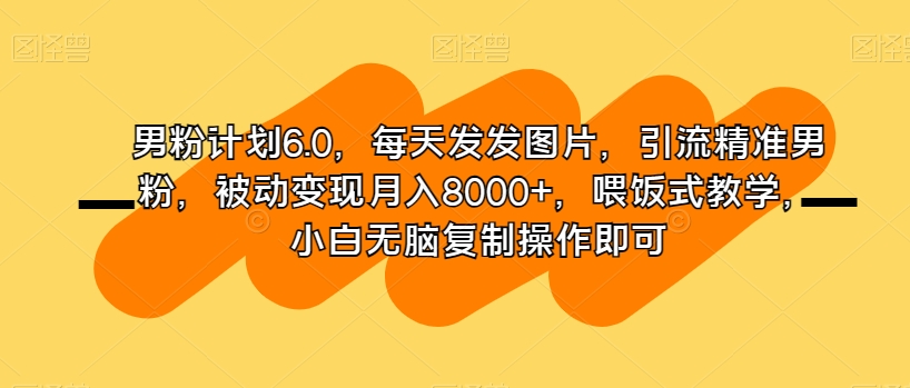 男粉计划6.0，每天发发图片，引流精准男粉，被动变现月入8000+，喂饭式教学，小白无脑复制操作即可-网赚项目众筹网