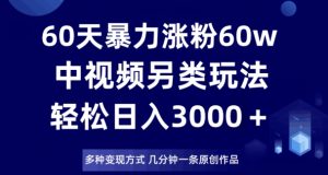 60天暴力涨粉60W,中视频另类玩法,日入3000+,几分钟一条原创作品多种变现方式-网赚项目众筹网
