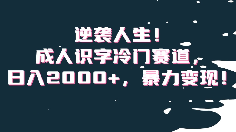 逆袭人生！成人识字冷门赛道，日入2000+，暴力变现！【揭秘】-网赚项目众筹网