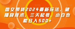 图文带货2024最新玩法,破播放技术,三天起号,小白也能日入500+【揭秘】-网赚项目众筹网