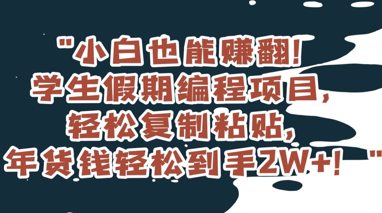 小白也能赚翻！学生假期编程项目，轻松复制粘贴，年货钱轻松到手2W+【揭秘】-网赚项目众筹网