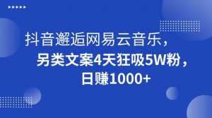 抖音邂逅网易云音乐，另类文案4天狂吸5W粉，日赚1000+【揭秘】-网赚项目众筹网