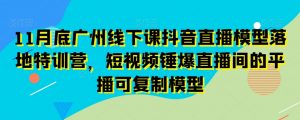 11月底广州线下课抖音直播模型落地特训营,短视频锤爆直播间的平播可复制模型-网赚项目众筹网