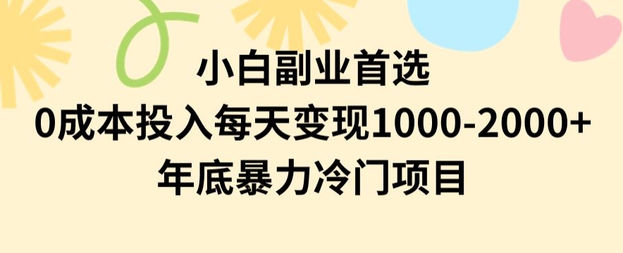 小白副业首选，0成本投入，每天变现1000-2000年底暴力冷门项目【揭秘】-网赚项目众筹网