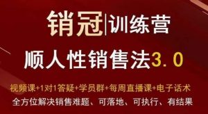 爆款!销冠训练营3.0之顺人性销售法,全方位解决销售难题、可落地、可执行、有结果-网赚项目众筹网