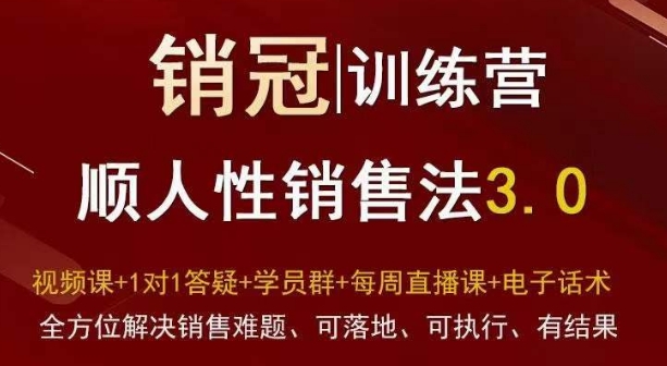 爆款！销冠训练营3.0之顺人性销售法，全方位解决销售难题、可落地、可执行、有结果-网赚项目众筹网
