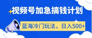 视频号加急搞钱计划,蓝海冷门玩法,日入500+【揭秘】-网赚项目众筹网