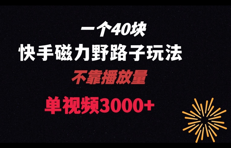 一个40块，快手联合美团磁力新玩法，无视机制野路子玩法，单视频收益4位数【揭秘】-网赚项目众筹网