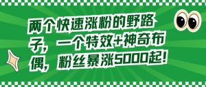 两个快速涨粉的野路子,一个特效+神奇布偶,粉丝暴涨5000起【揭秘】-网赚项目众筹网