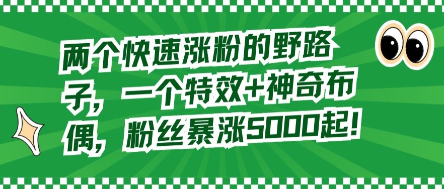 两个快速涨粉的野路子，一个特效+神奇布偶，粉丝暴涨5000起【揭秘】-网赚项目众筹网