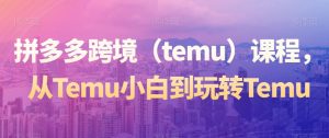 拼多多跨境（temu）课程，从Temu小白到玩转Temu-网赚项目众筹网