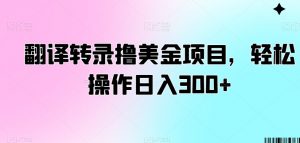 翻译转录撸美金项目,轻松操作日入300+【揭秘】-网赚项目众筹网