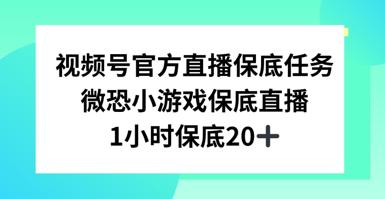 视频号直播任务，微恐小游戏，1小时20+【揭秘】-网赚项目众筹网