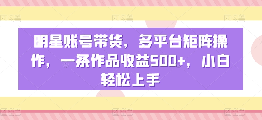 明星账号带货，多平台矩阵操作，一条作品收益500+，小白轻松上手【揭秘】-网赚项目众筹网
