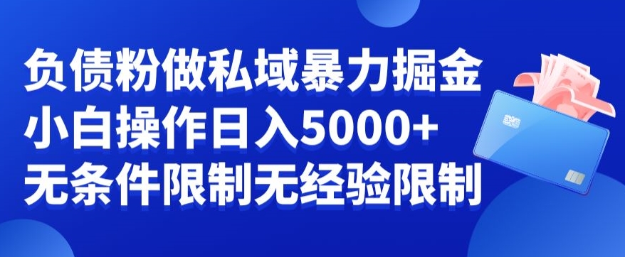 负债粉私域暴力掘金，小白操作入5000，无经验限制，无条件限制【揭秘】-网赚项目众筹网