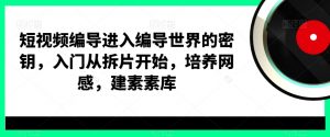 短视频编导进入编导世界的密钥，入门从拆片开始，培养网感，建素素库-网赚项目众筹网