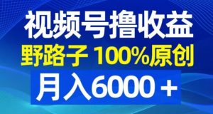 视频号野路子撸收益,100%原创,条条爆款,月入6000+【揭秘】-网赚项目众筹网