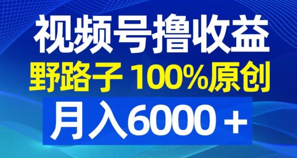 视频号野路子撸收益，100%原创，条条爆款，月入6000＋【揭秘】-网赚项目众筹网