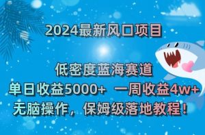 2024最新风口项目,低密度蓝海赛道,单日收益5000+,一周收益4w+!【揭秘】-网赚项目众筹网