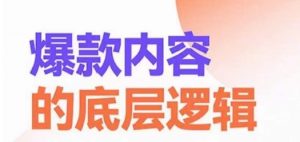 爆款内容的底层逻辑,揽获精准客户,高粘性、高复购、高成交-网赚项目众筹网