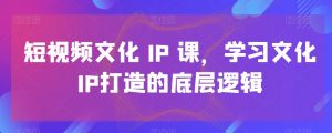 短视频文化IP课,学习文化IP打造的底层逻辑-网赚项目众筹网