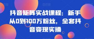 抖音矩阵实战课程:新手从0到100万粉丝,全套抖音变现实操-网赚项目众筹网