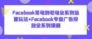 Facebook菜鸟到老鸟全系列运营玩法+Facebook专业广告投放全系列课程-网赚项目众筹网