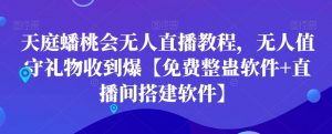 天庭蟠桃会无人直播教程，无人值守礼物收到爆【免费整蛊软件+直播间搭建软件】-网赚项目众筹网