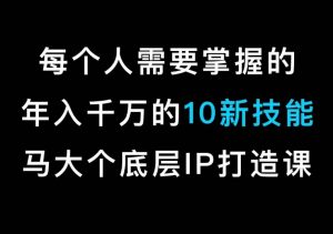 马大个的IP底层逻辑课，​每个人需要掌握的年入千万的10新技能，约会底层IP打造方法！-网赚项目众筹网