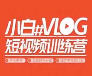 小呆说视–小白VLOG短视频训练营,学会带货、好物、直播、中视频-网赚项目众筹网